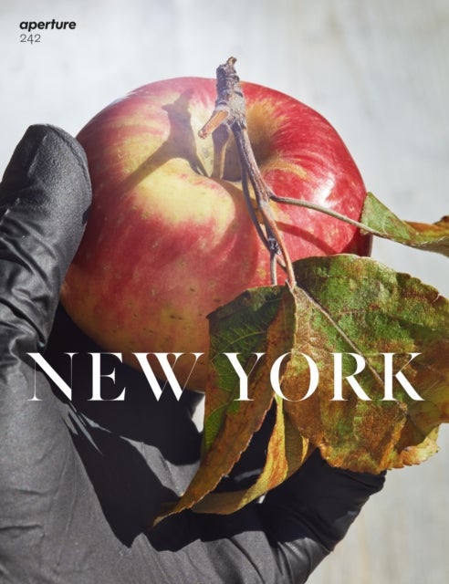 New York - Aperture 242