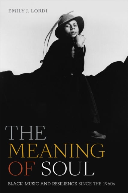 The Meaning of Soul - Black Music and Resilience Since the 1960s
