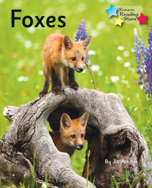 Foxes - Phonics Phase 5