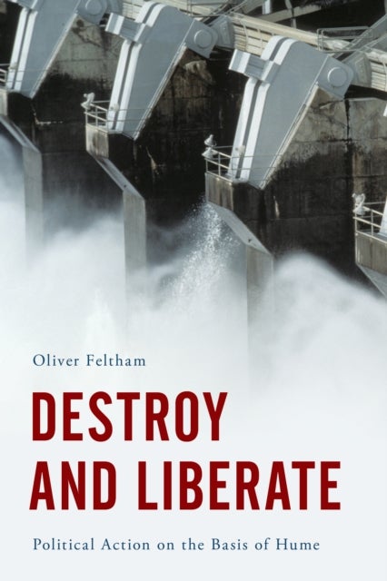 Destroy and Liberate - Political Action on the Basis of Hume