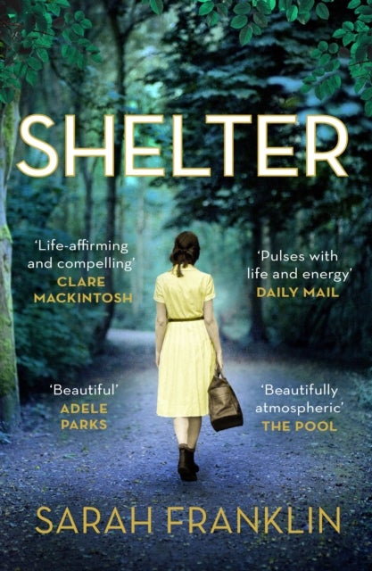 Shelter - ‘One of the year's hottest debuts’