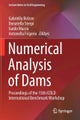 Numerical Analysis of Dams