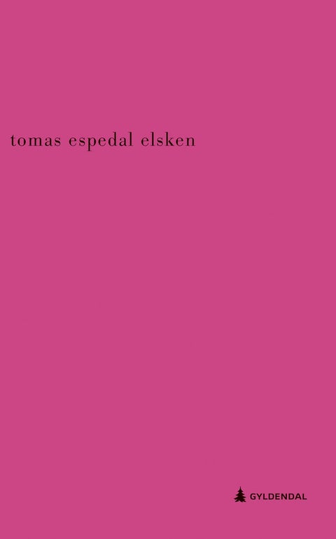 Elsken - roman