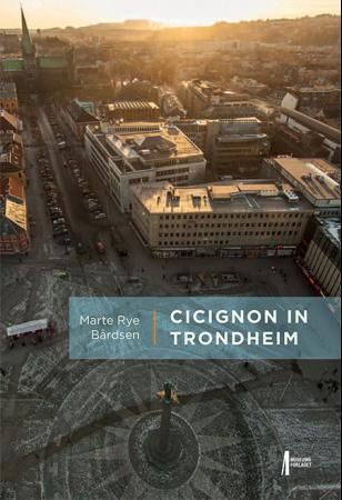 Venter på produktbilde