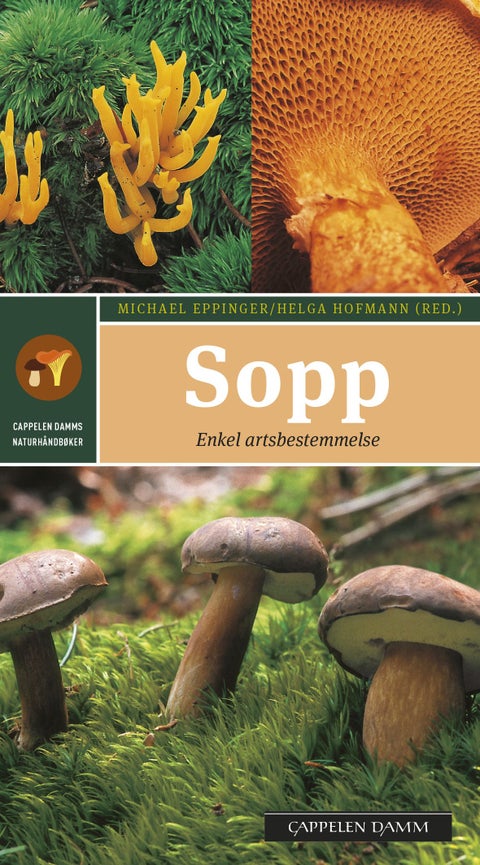 Sopp - enkel og sikker artsbestemmelse