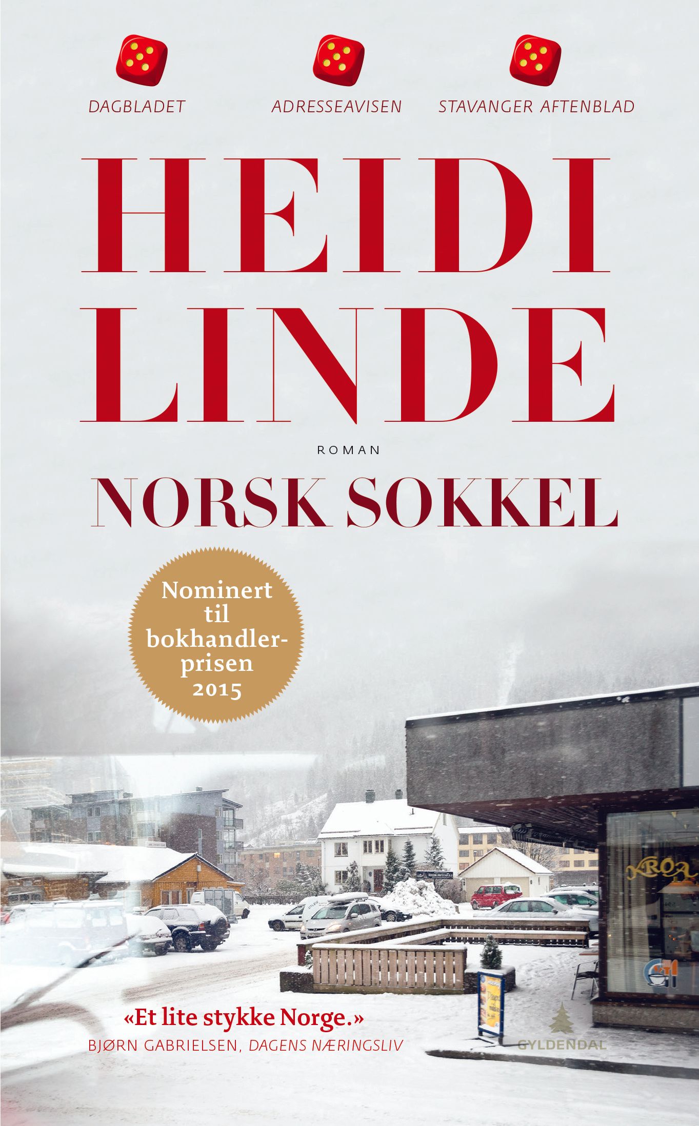 Norsk sokkel - roman