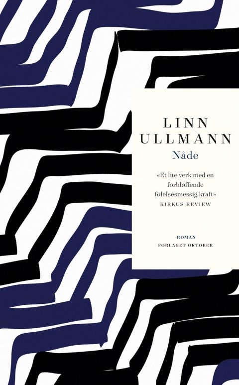 Nåde - roman