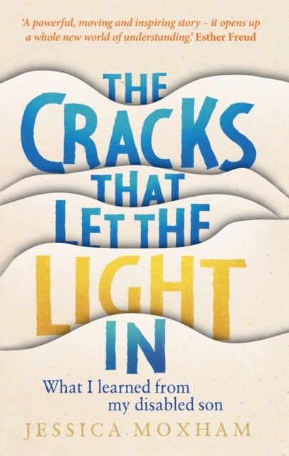 The Cracks that Let the Light In - What I learned from my disabled son