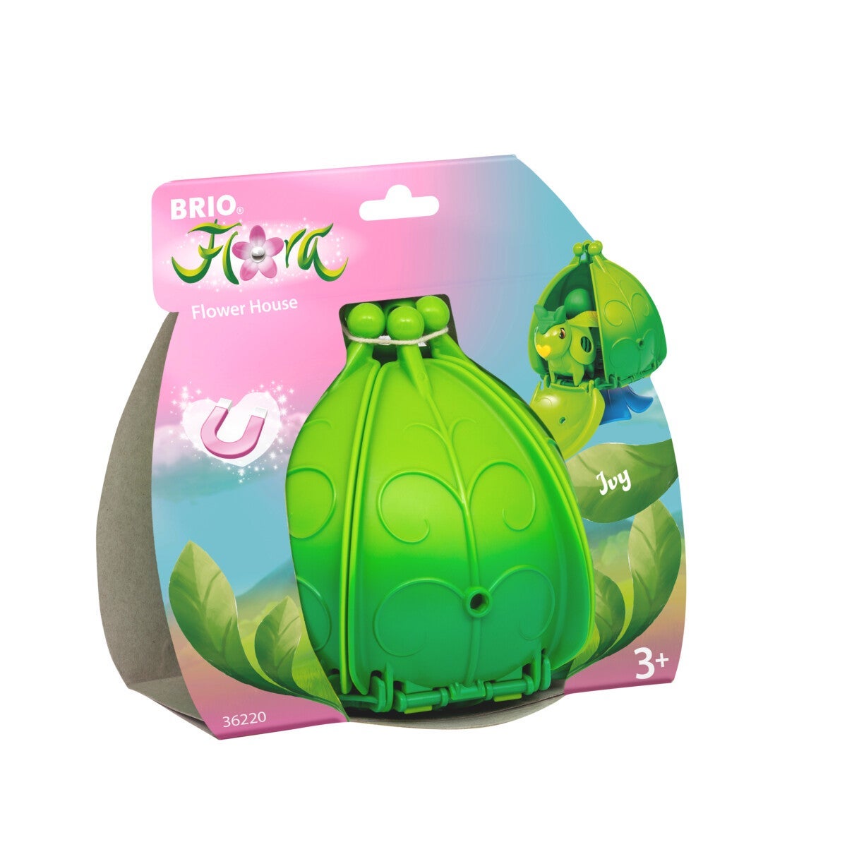 Brio Flora Ivy Flower House