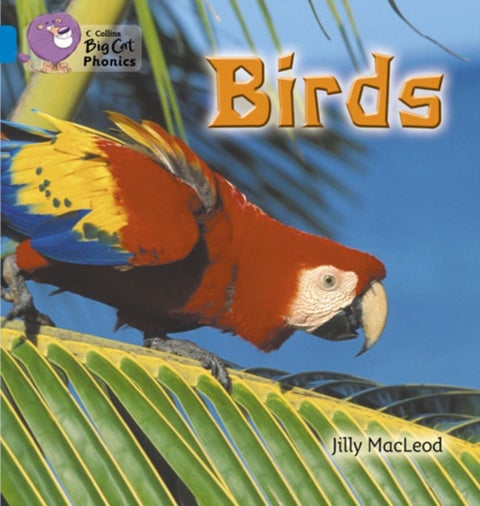Birds - Band 04/Blue