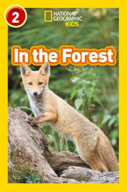 In the Forest - Level 2