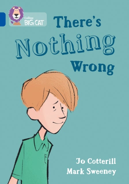 There's Nothing Wrong - Band 16/Sapphire