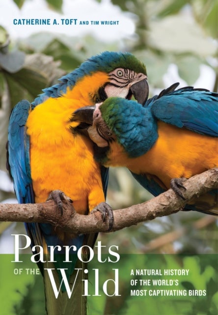 Parrots of the Wild - A Natural History of the World’s Most Captivating Birds