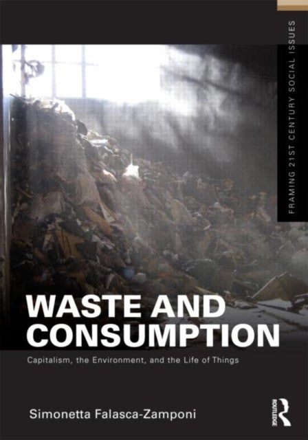 Waste and Consumption - Capitalism, the Environment, and the Life of Things
