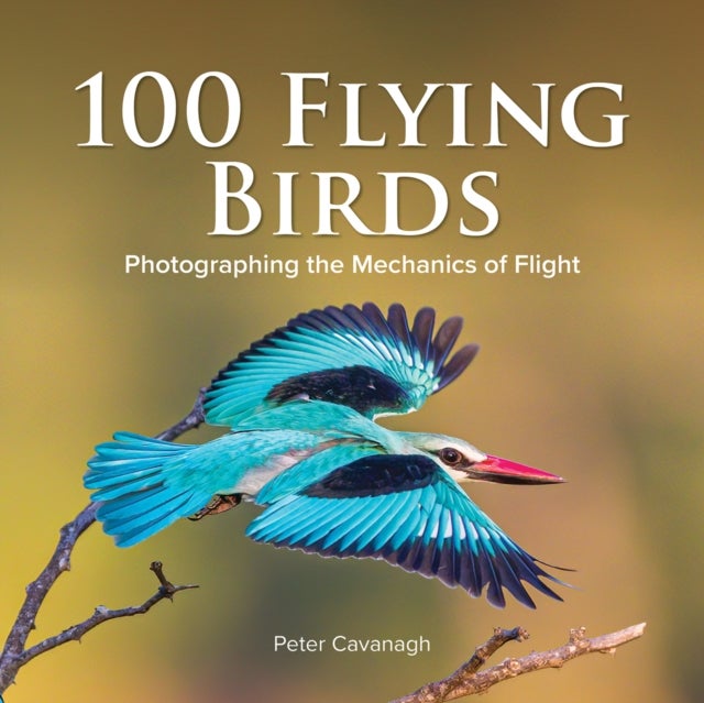 100 Flying Birds - Photographing the Mechanics of Flight