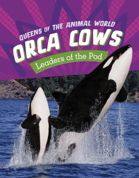 Orca Cows - Leaders of the Pod