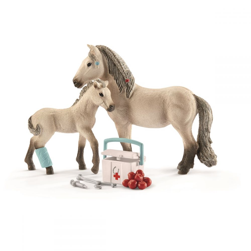 First aid kit & Icelandic horse