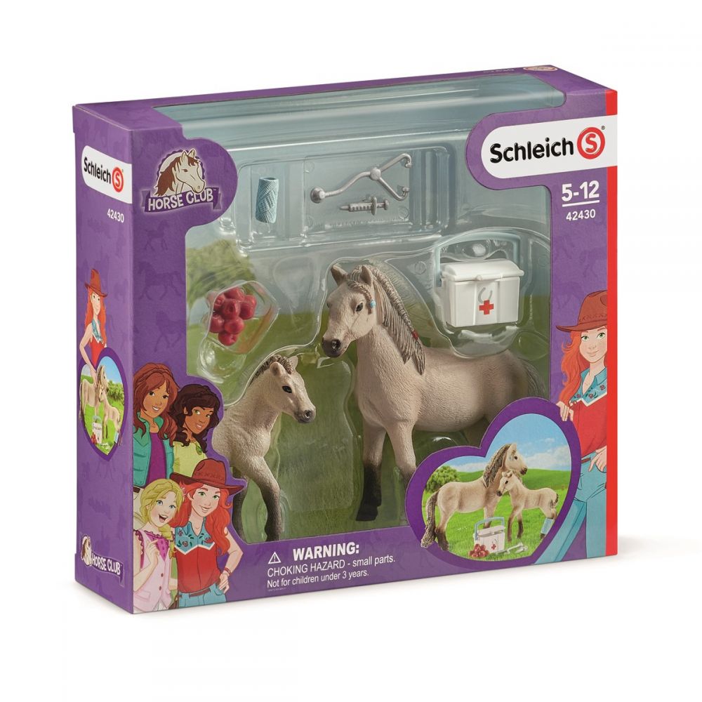 First aid kit & Icelandic horse