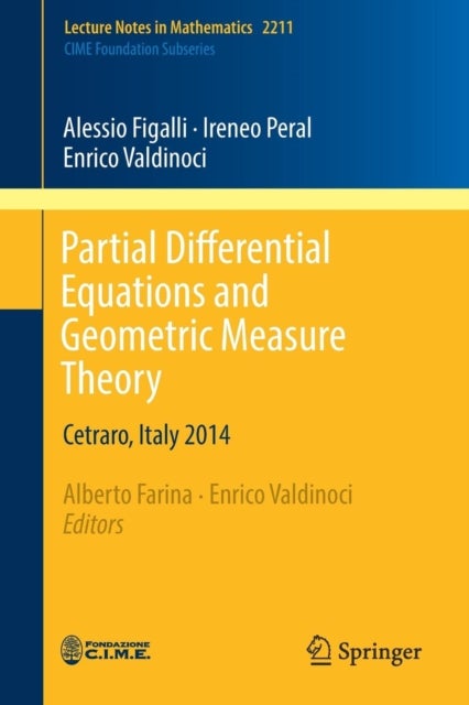 Partial Differential Equations and Geometric Measure Theory - Cetraro, Italy 2014