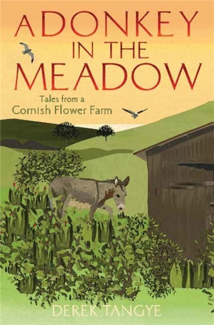 A Donkey in the Meadow - Tales from a Cornish Flower Farm