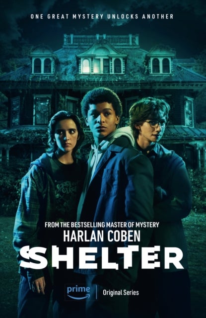 Shelter - From the Number One bestselling creator of the hit Netflix series Missing You