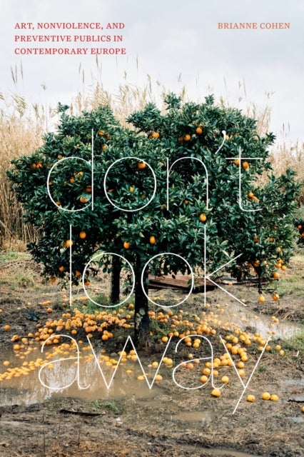 Don't Look Away - Art, Nonviolence, and Preventive Publics in Contemporary Europe