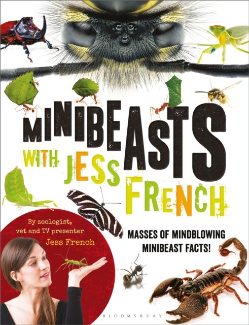 Minibeasts with Jess French - Masses of mindblowing minibeast facts!