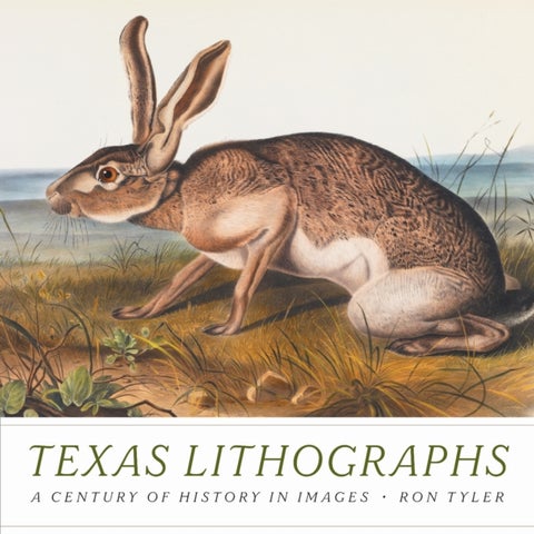 Texas Lithographs - A Century of History in Images