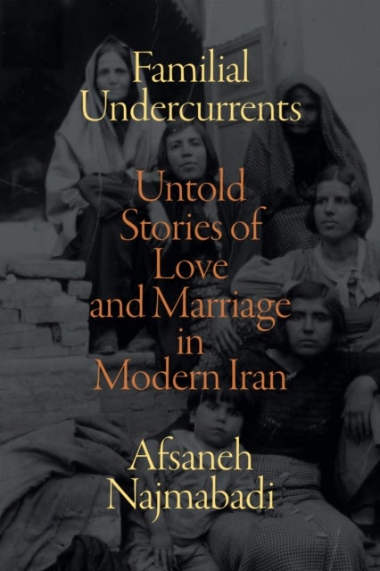 Familial Undercurrents - Untold Stories of Love and Marriage in Modern Iran