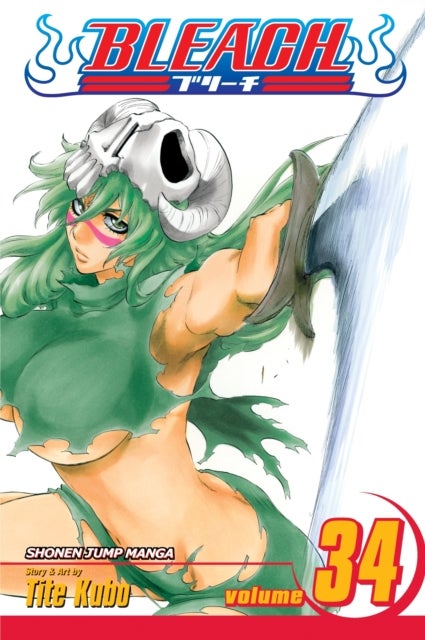 Bleach, Vol. 34 - King of the Kill