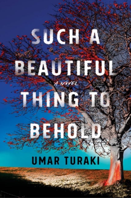 Such a Beautiful Thing to Behold - A Novel