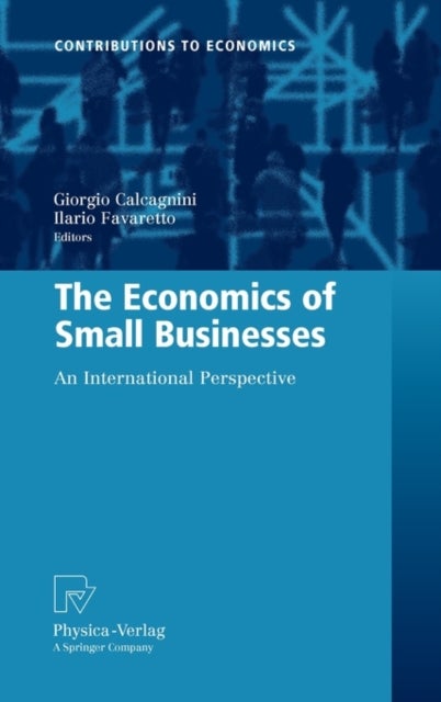 The Economics of Small Businesses - An International Perspective