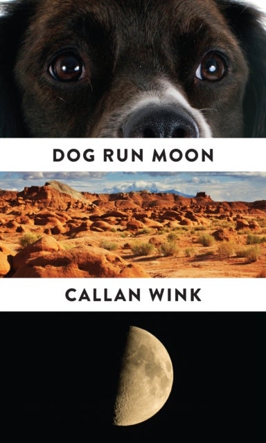 Dog Run Moon - Stories
