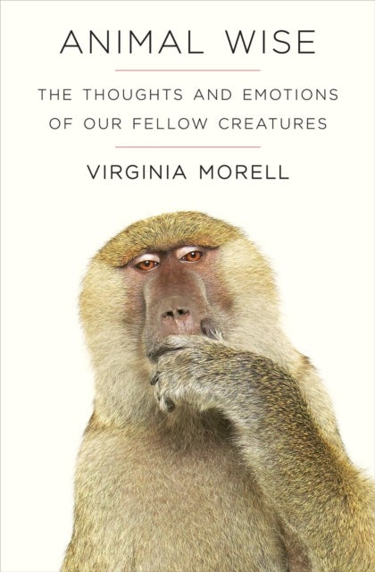 Animal Wise - The Thoughts and Emotions of Animals