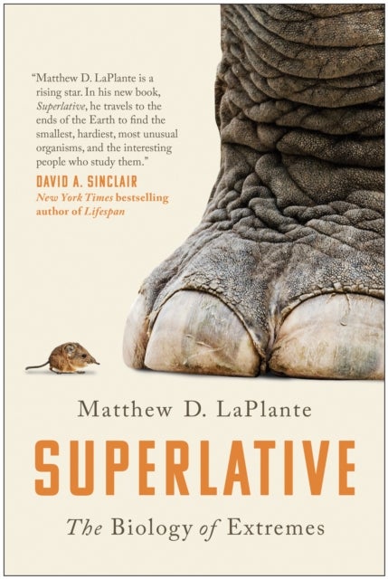Superlative - The Biology of Extremes