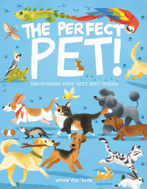 The Perfect Pet! - Discovering Your Next Best Friend