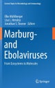 Marburg- and Ebolaviruses