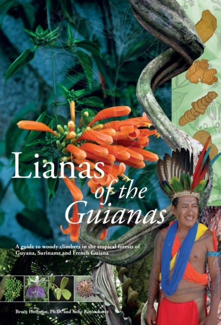 Lianas of the Guianas - Guide to the Woody Climbers in the Tropical Forests of Guyana, Suriname and French Guiana