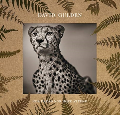 David Gulden: Nor Dread Nor Hope Attend - Photographs From The Plains of Africa