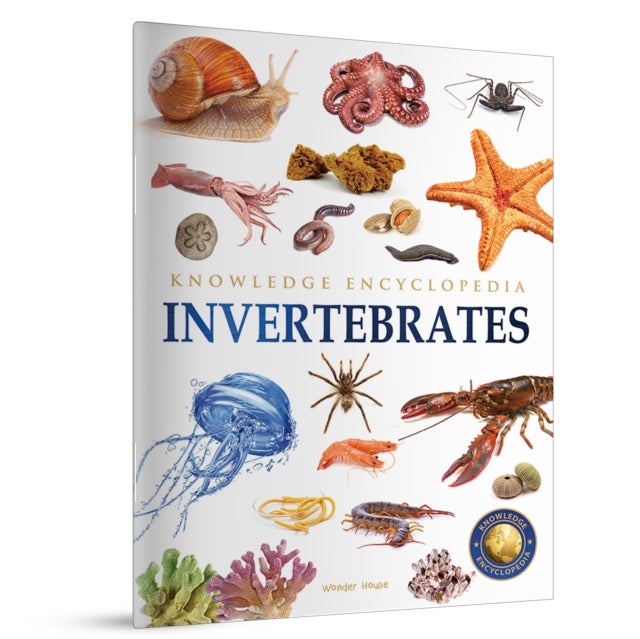 Animals - Invertebrates Knowledge Encyclopedia for Children