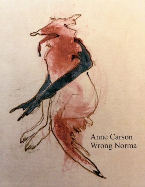 Wrong Norma - ‘I would read anything she wrote’ Susan Sontag