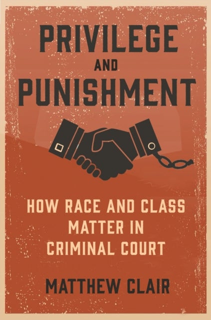 Privilege and Punishment - How Race and Class Matter in Criminal Court