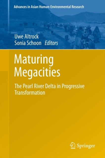 Maturing Megacities - The Pearl River Delta in Progressive Transformation