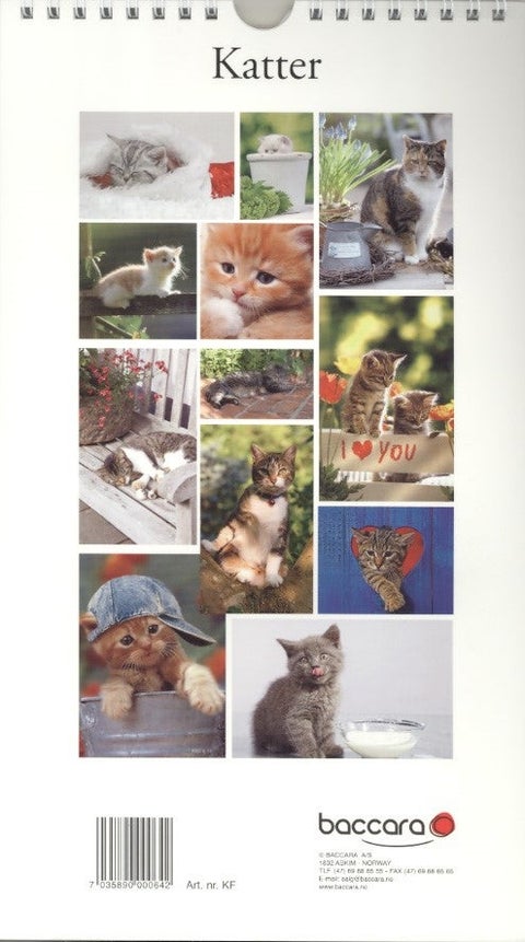 Familiekalender Baccara Katt