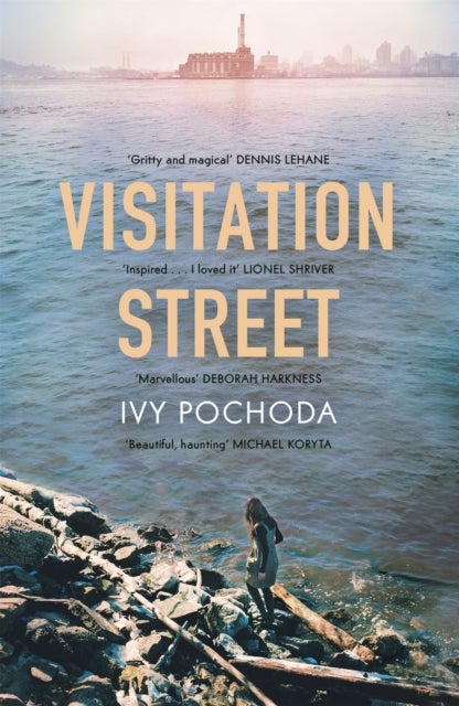 Visitation Street - Two girls disappear on the river. Only one of them comes back