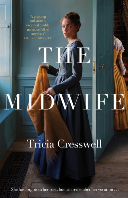 The Midwife - A Hauntingly Beautiful and Heartbreaking Historical Fiction