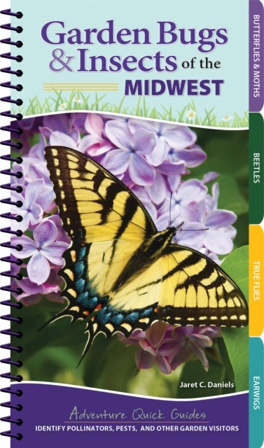 Garden Bugs & Insects of the Midwest - Identify Pollinators, Pests, and Other Garden Visitors