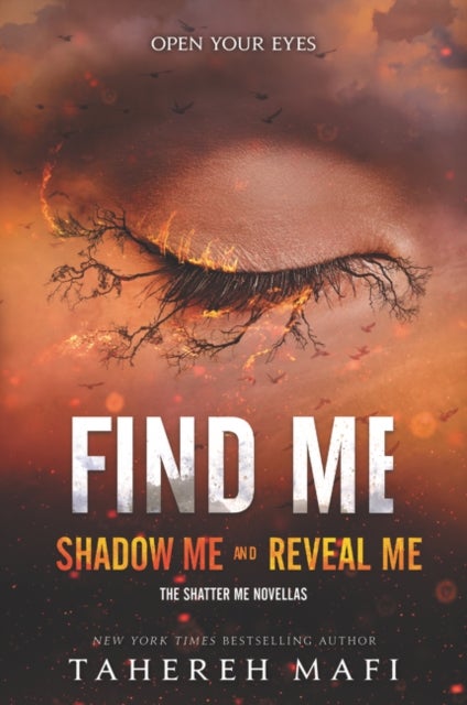Find Me - Shadow Me and Reveal Me