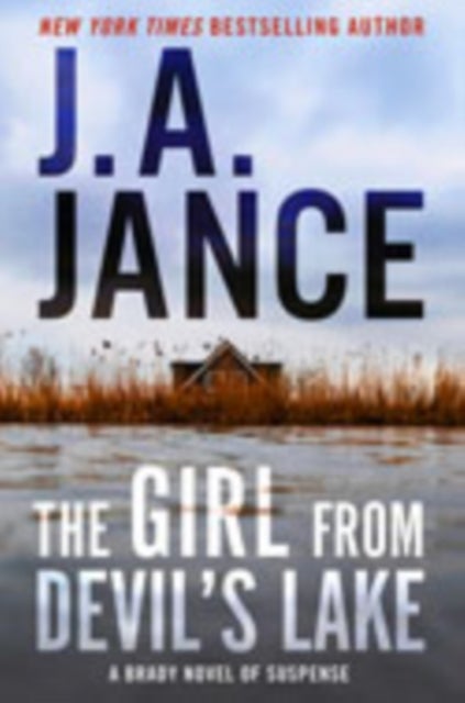 The Girl from Devil's Lake - A Brady Novel of Suspense