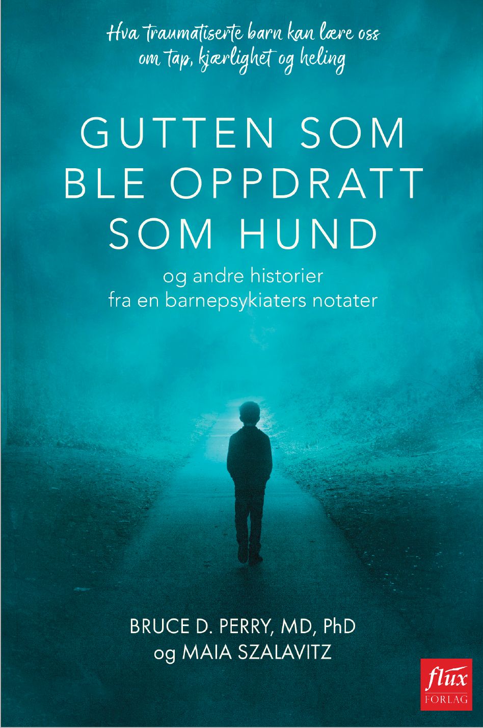 Gutten som ble oppdratt som hund - og andre historier fra en barnepsykiaters notater : hva traumatiserte barn kan lære oss om tap, kjærlighet og heling